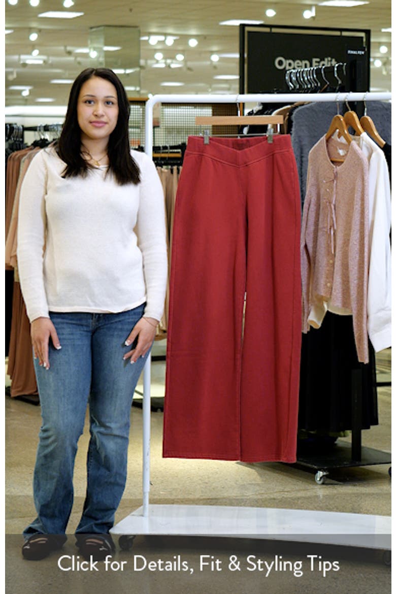 Dustin V-Waist Wide Leg Sweatpants video