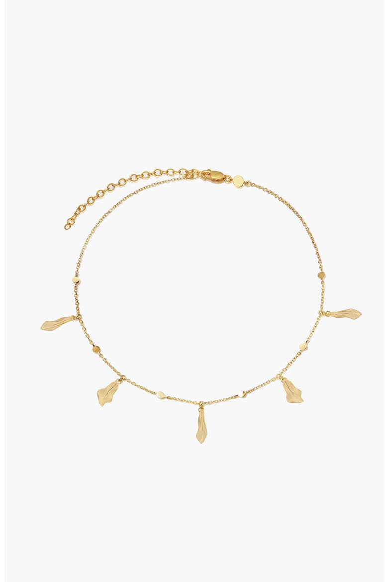 Mino Charm Choker Necklace in Gold, Main, color, Gold
