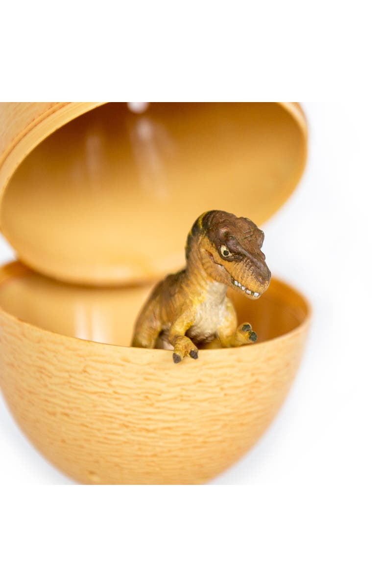 Safari Ltd. Dino Dana Tyrannosaurus Rex Baby with Egg Kids Toy Figure, Alternate, color, NO COLOR
