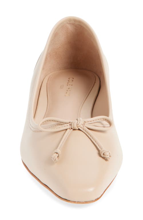 Cole Haan Chlea Pointed Toe Ballet Flat In Porcelain Leather