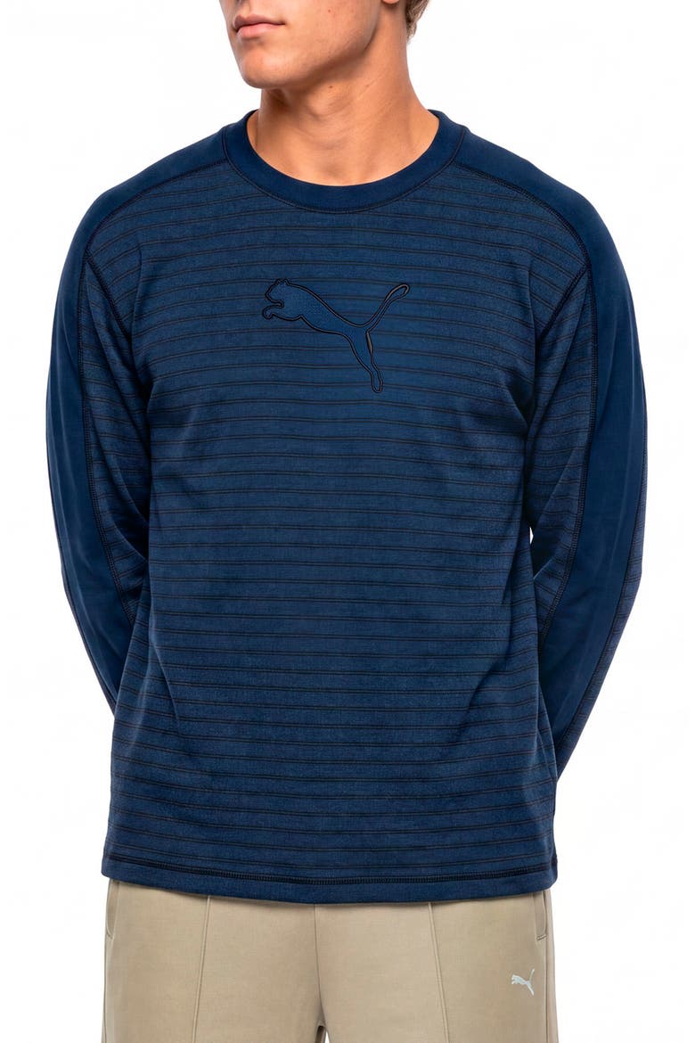 T7 Stripe Long Sleeve T-Shirt, Main, color, PERSIAN BLUE HEATHER