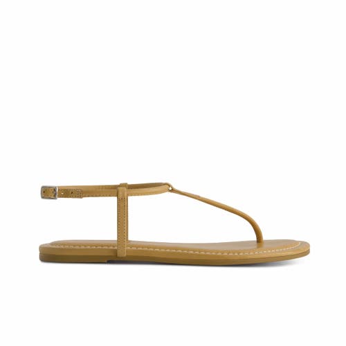 BERNARDO FOOTWEAR BERNARDO FOOTWEAR HERCU T-STRAP SANDAL 