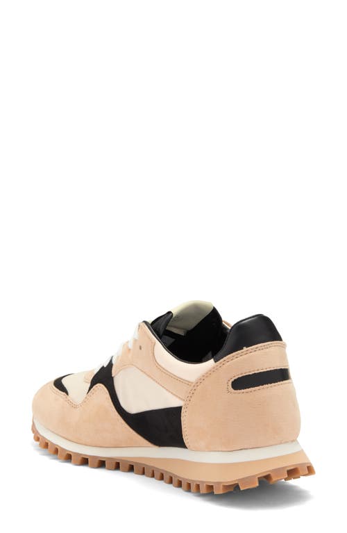 STEVE MADDEN STEVE MADDEN CYNDER SNEAKER 