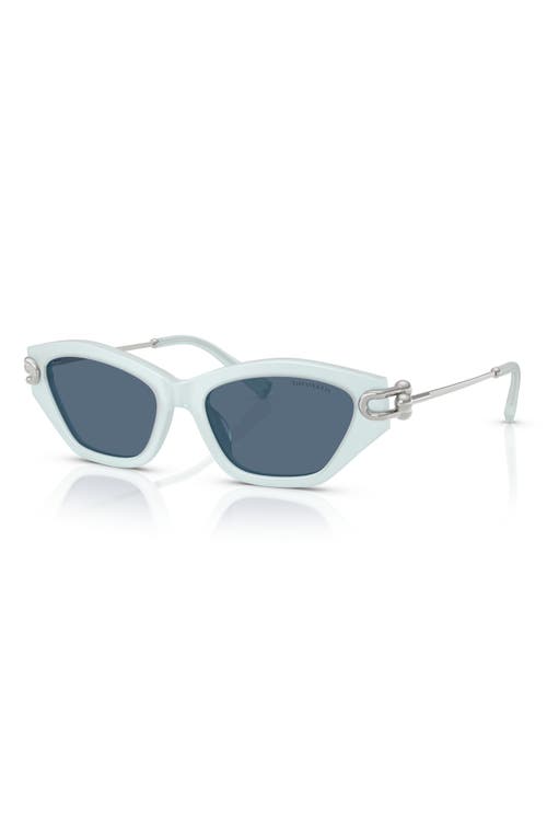 TIFFANY & CO TIFFANY & CO. 53MM CAT EYE SUNGLASSES