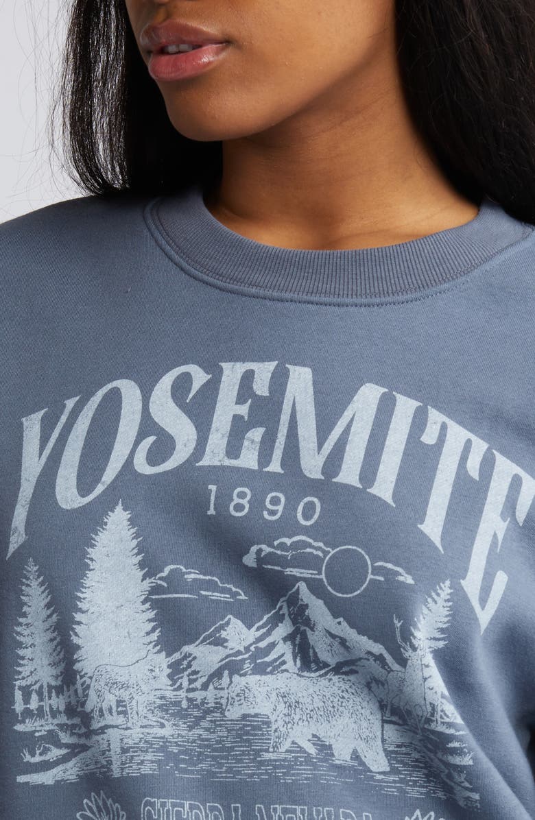 Vinyl Icons Yosemite Graphic Sweatshirt, Alternate, color, Washed Blue