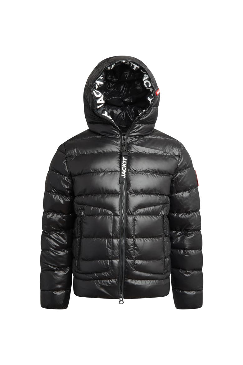 R4D Tramline Hooded Puffer Jacket, Alternate, color, BLACK LUX