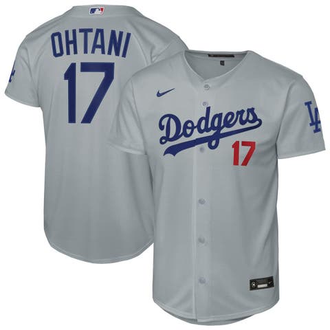 Youth Nike Shohei Ohtani Gray Los Angeles Dodgers Alternate Stadium Jersey