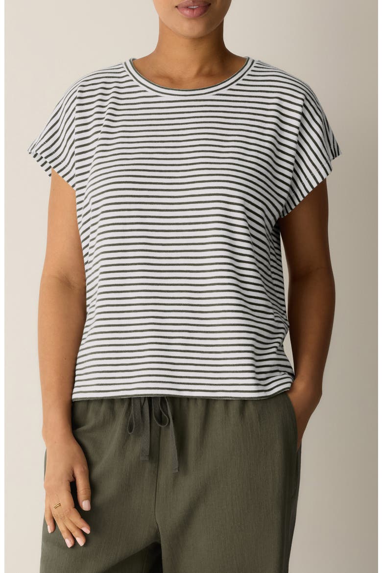 Stripe Organic Cotton T-Shirt, Main, color, OLIVE