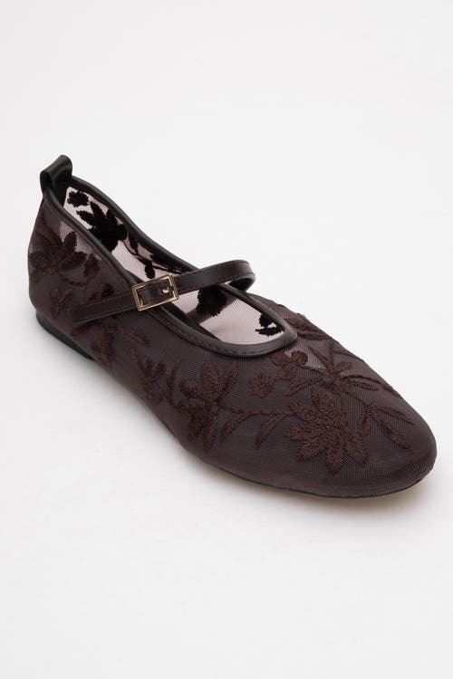 Prologue Shoes Juny Mesh Floral Embroidery Ballet Flat In Brown