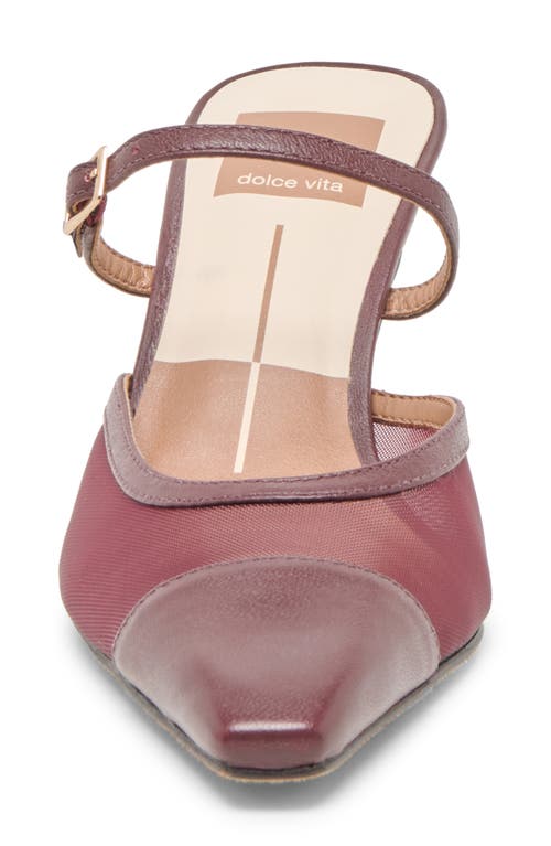 Dolce Vita Loyd Pointed Toe Pump In Burgundy
