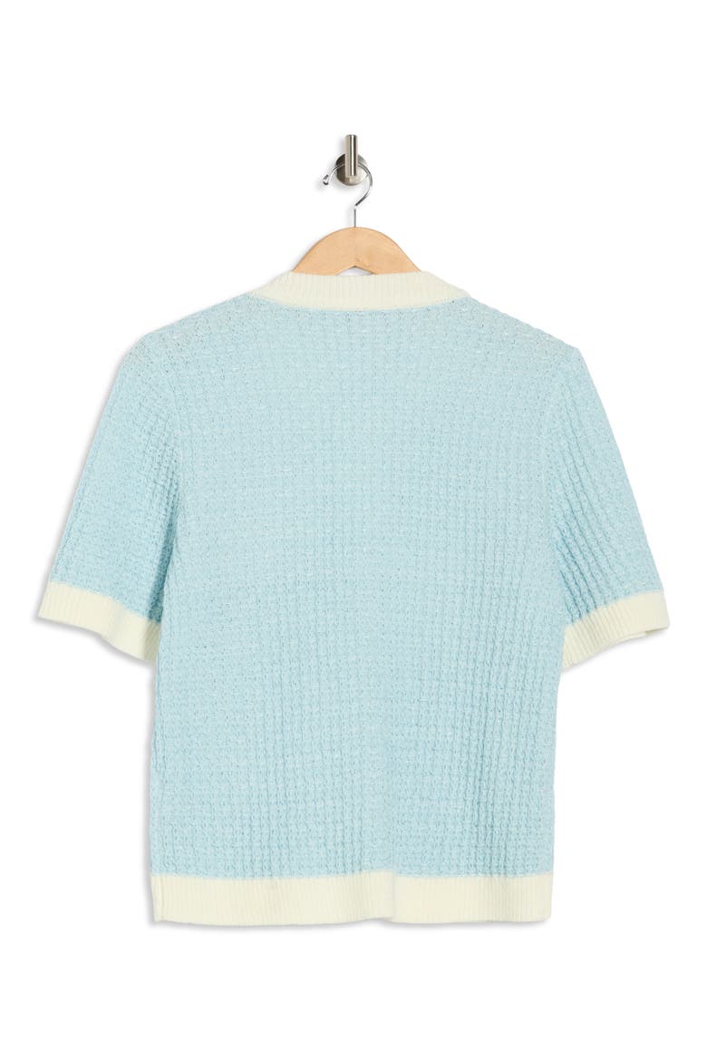 Contrast Trim Short Sleeve Sweater, Alternate, color, BLUE/ WHITE