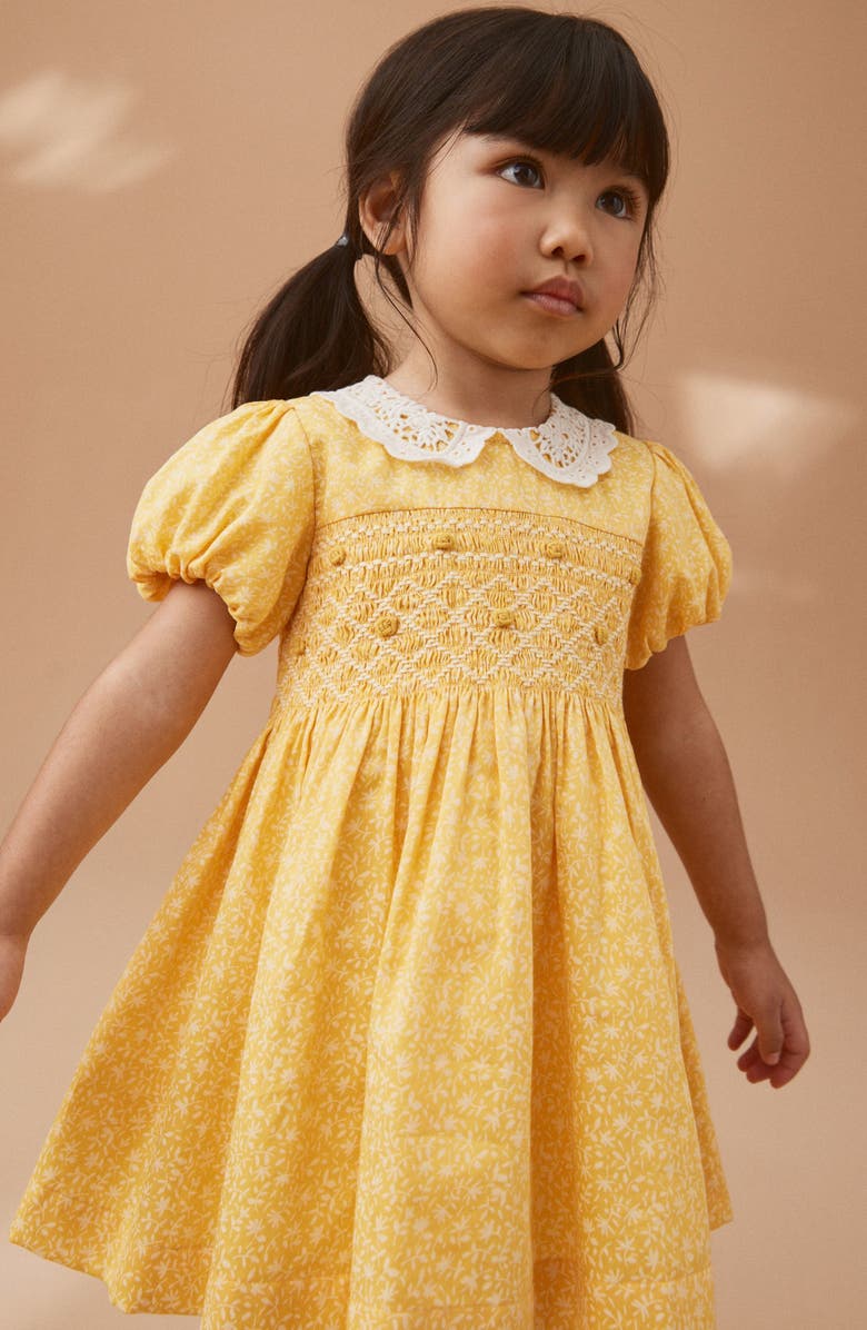NEXT Kids' Ditsy Embroidery Detail Cotton Dress, Alternate, color,
