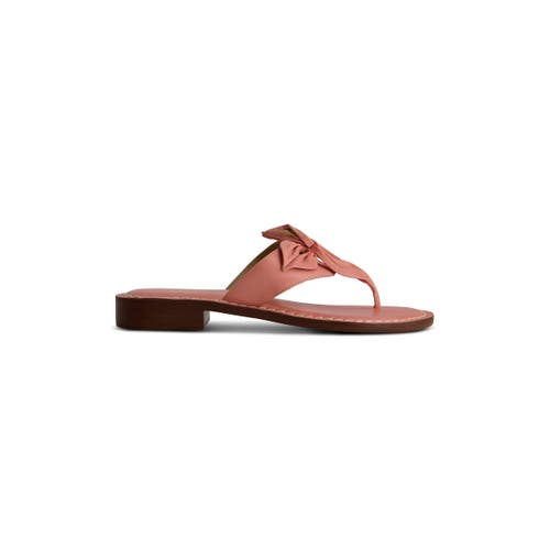 BERNARDO FOOTWEAR BERNARDO FOOTWEAR TAORMINA THONG SANDAL