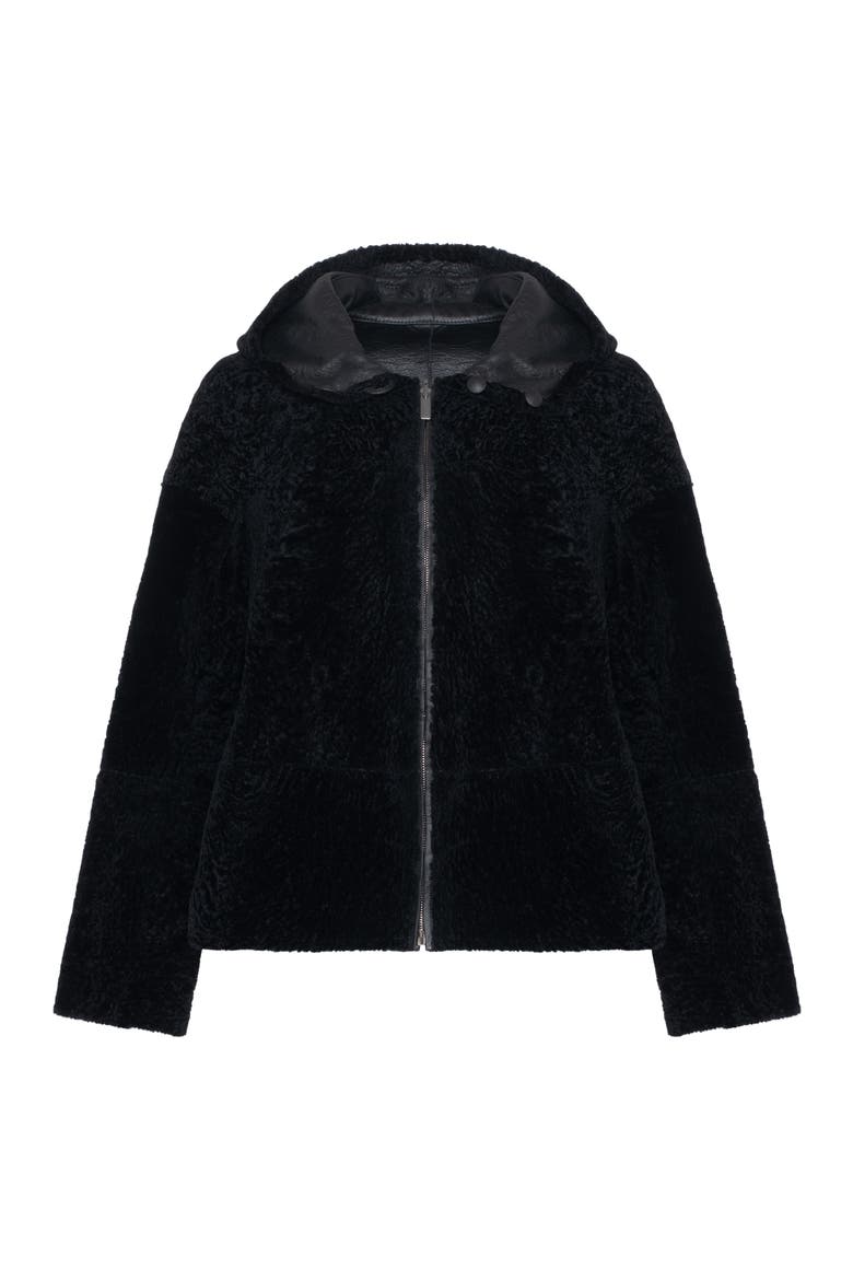 Genuine Shearling Zip Hooded Jacket, Rev, Alternate, color, BLACK