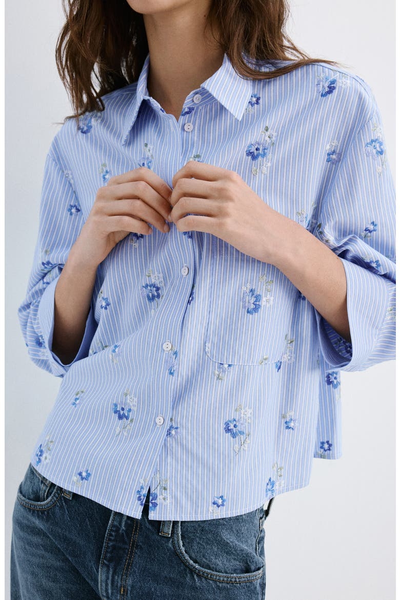 Embroidered Stripe Button-Up Shirt, Alternate, color, SKY BLUE
