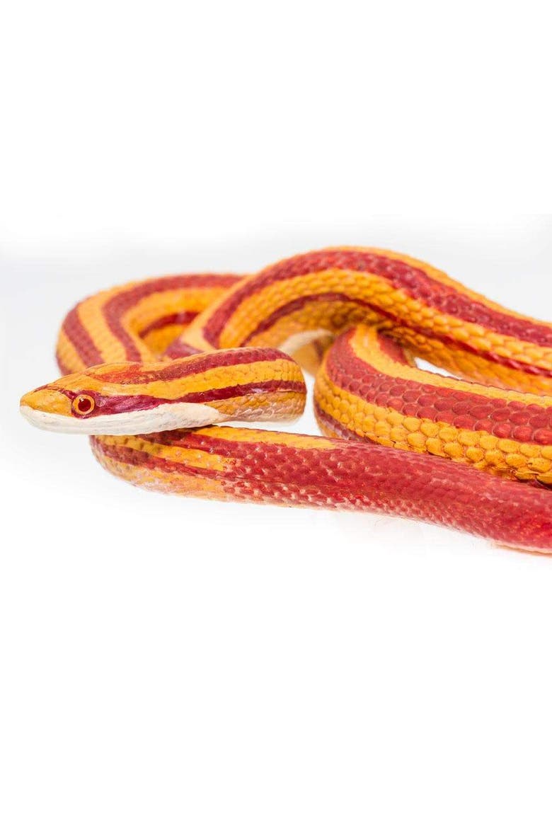 Corn Snake Toy, Alternate, color, No Color