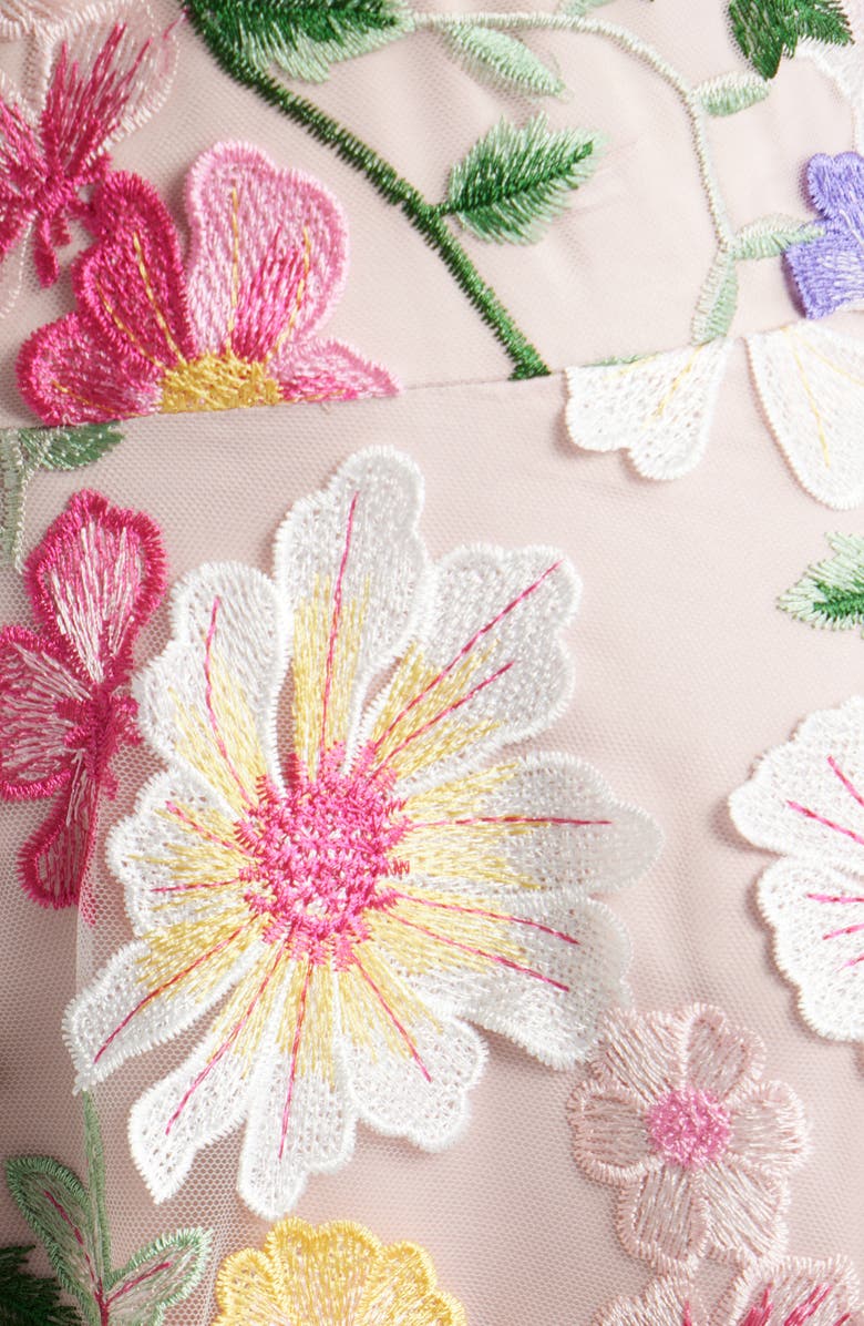 Eliza J Embroidered Sleeveless Gown, Alternate, color, Blush Multi