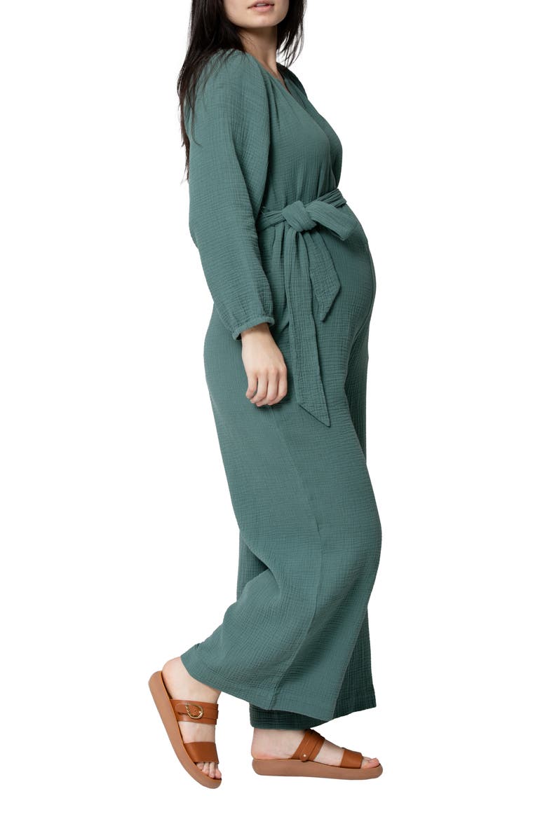 Nom Maternity Alma Maternity/Nursing Jumpsuit, Alternate, color, Eucalyptus