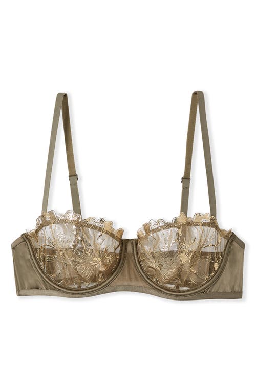 Etam Amaryllis Embroidered Underwire Demi Bra In Brown