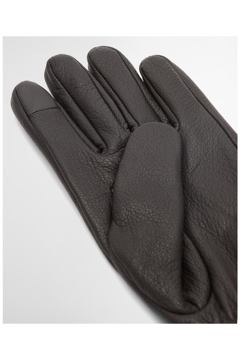 Bainford Leather Gloves, Alternate, color, BROWN