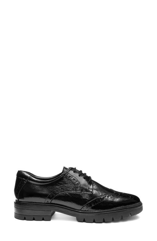Ara Clementine Wingtip Derby In Black