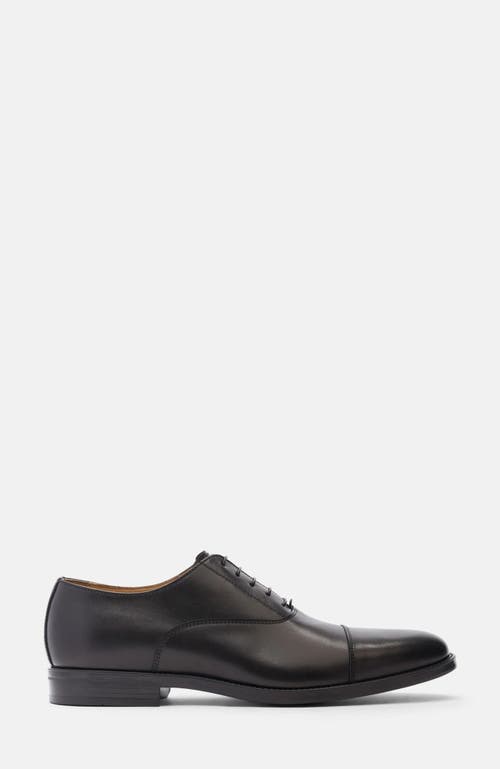 Scarosso Cesare Oxfords