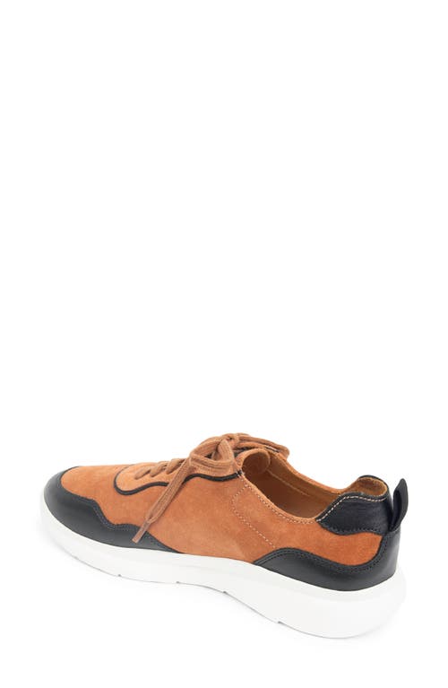 Patricia Green Travel Sneaker In Brown