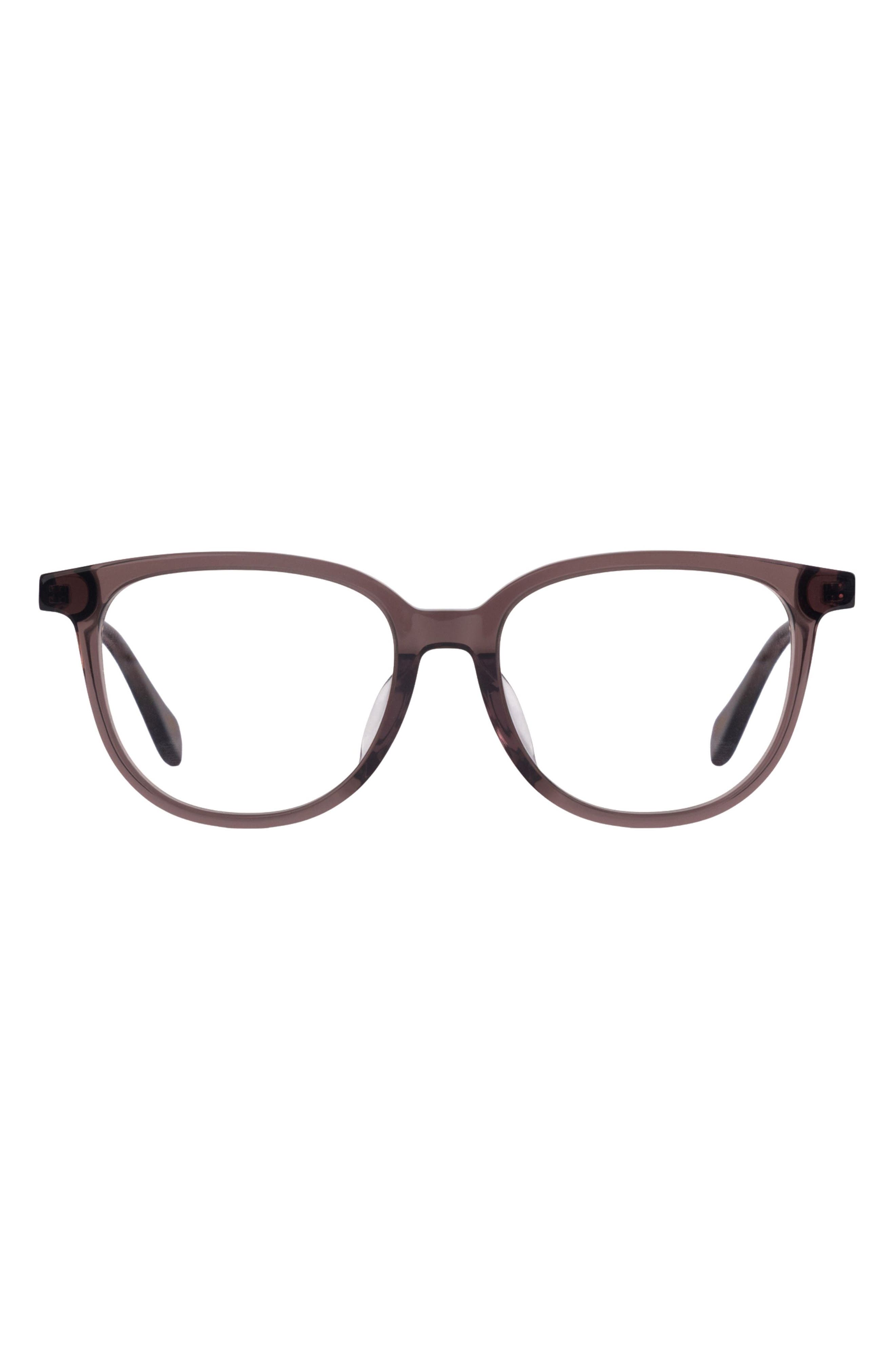 CARIBBEAN CONCH / CLEAR LENSES