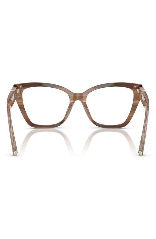 Tiffany & Co . 54mm Cat Eye Optical Glasses In Brown