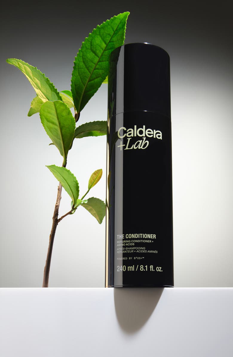 Caldera + Lab The Conditioner, Alternate, color, 