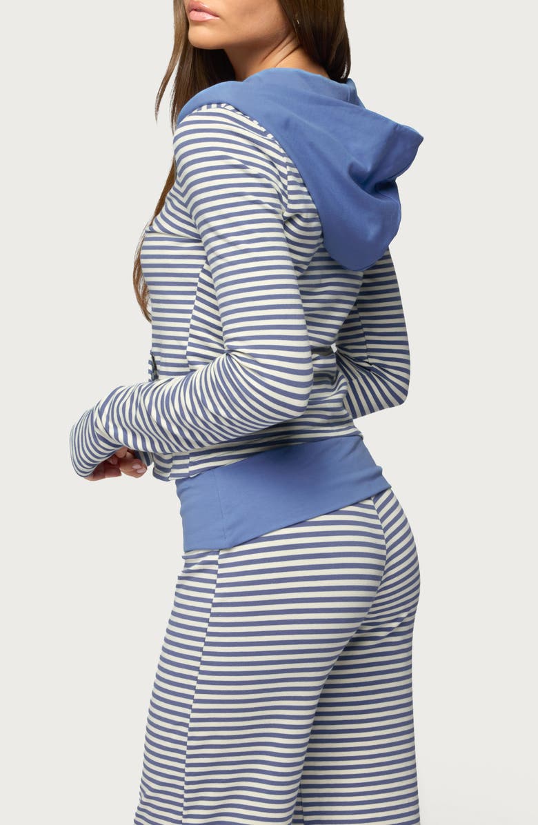 EDIKTED Meggy Colorblock Stripe Zip Hoodie, Alternate, color, 