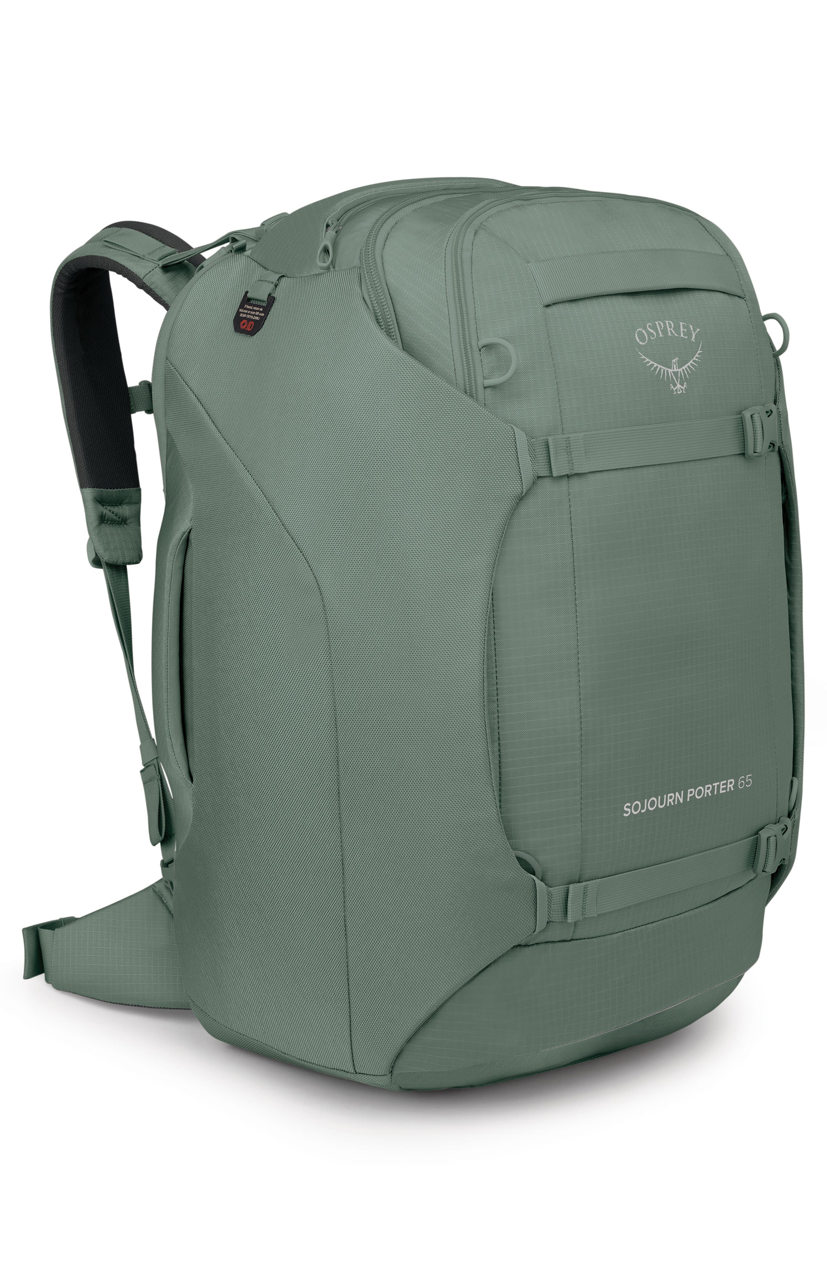 Sojourn Porter 65-Liter Travel Backpack, Alternate, color, KOSERET GREEN