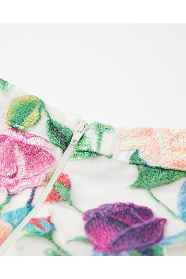 Rachelle Embroidered Mini Skirt, Alternate, color, Floral