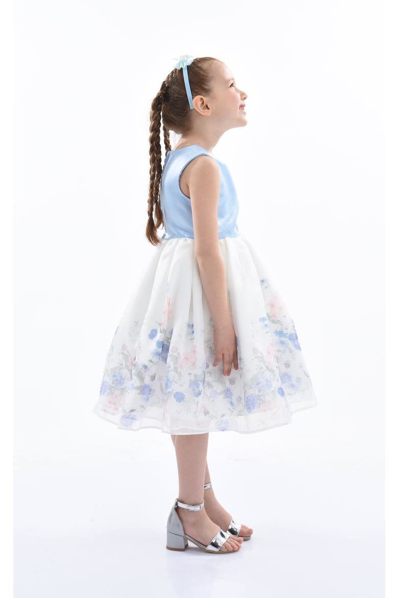 Mabel Floral Garden Organza Dress, Alternate, color, Blue