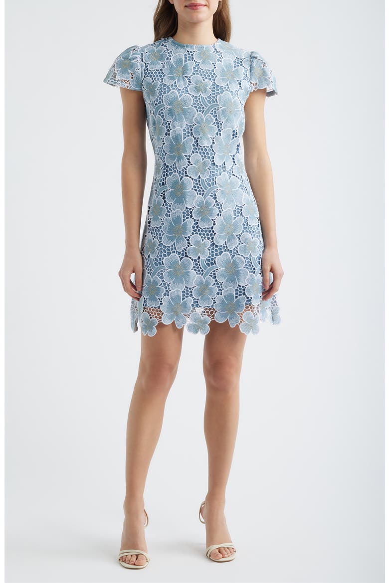 Floral Lace Cap Sleeve Dress, Main, color, BLUE
