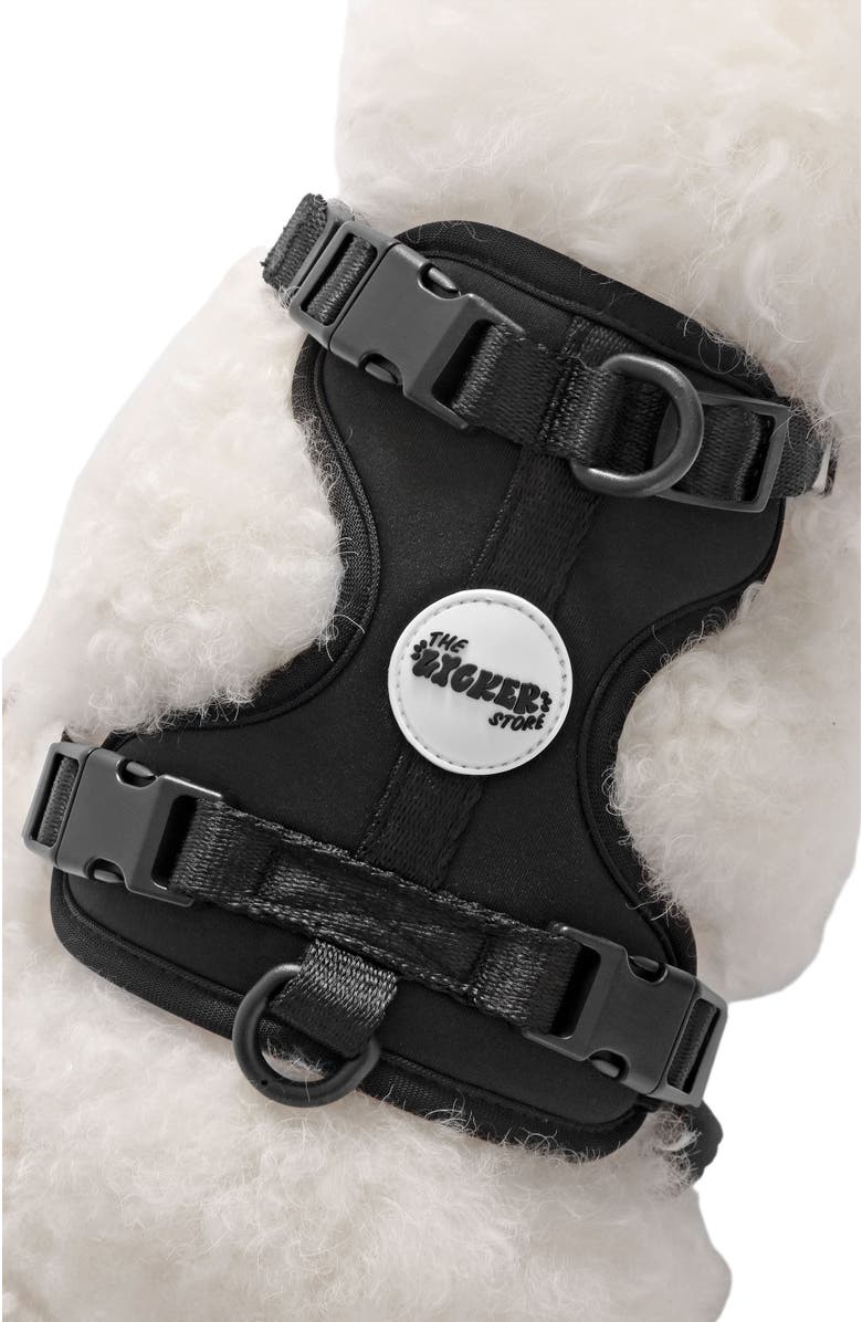 The Licker Store Arlo Adjustable Soft Padded No Pull Pet Harness with 3 Buckles and 3 Leash Clips, Alternate, color, Black