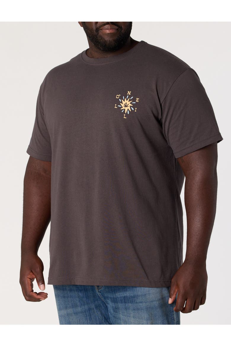 Big & Tall Nonagon Classic T-Shirt, Alternate, color, GREY