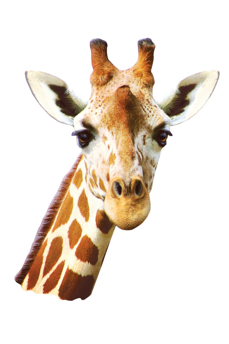 Giraffe 100 Piece Shaped Jigsaw Puzzle, Alternate, color, Multicolor