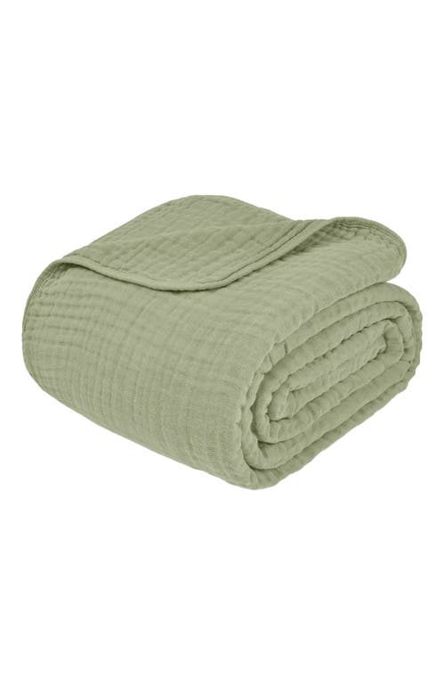 Comfy Cubs Adult Muslin Blanket in Sage  product
