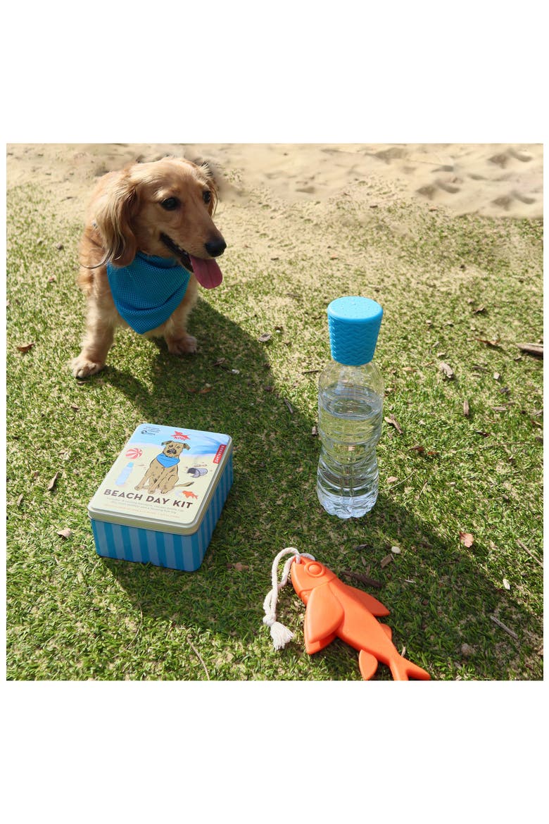 Beach Day Dog Kit, Alternate, color, BLUE MULTI