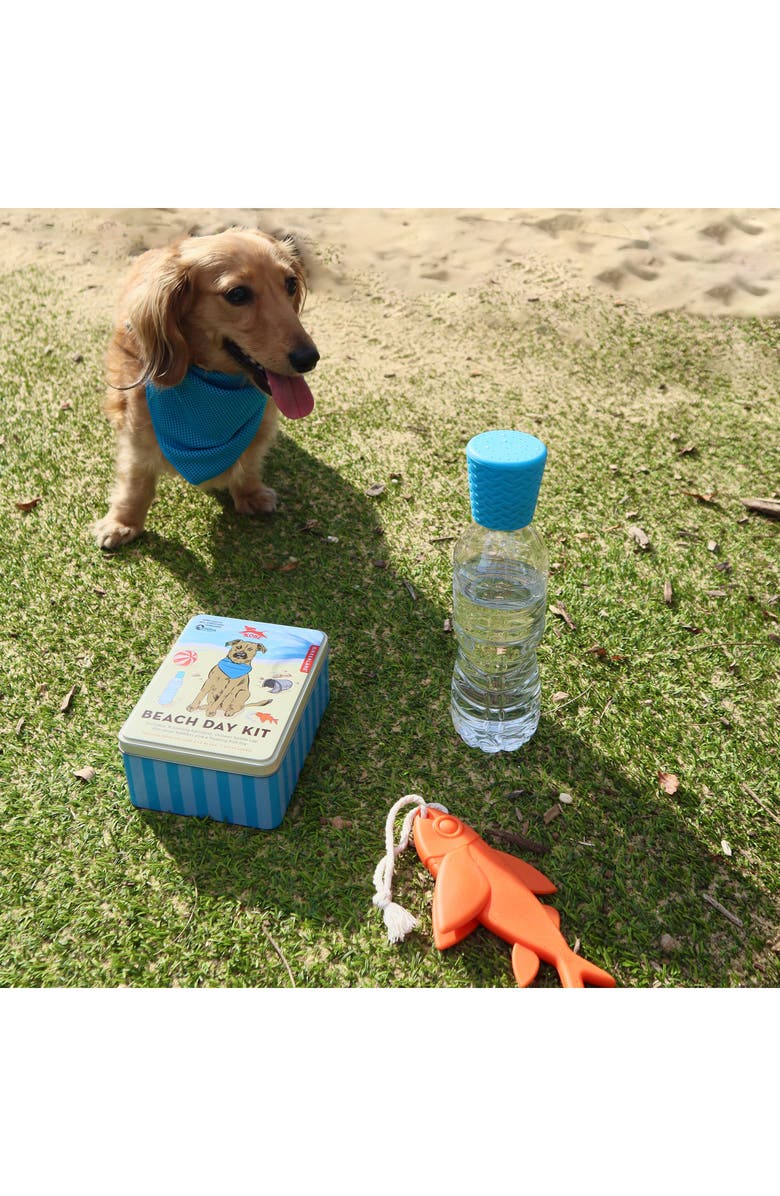 Kikkerland Design Beach Day Dog Kit, Alternate, color, Blue Multi