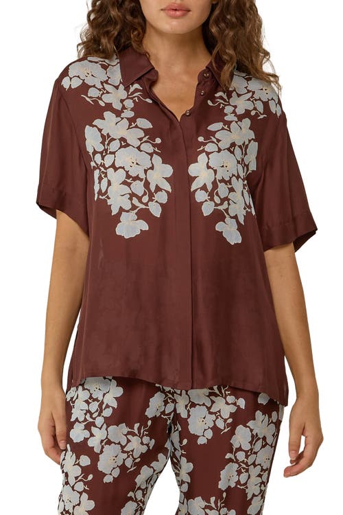 Palm Noosa Rory Shirt In Tasman Floral