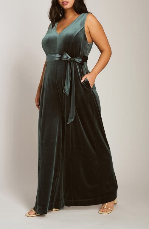 Universal Standard Midnight Velvet Jumpsuit In Scarab