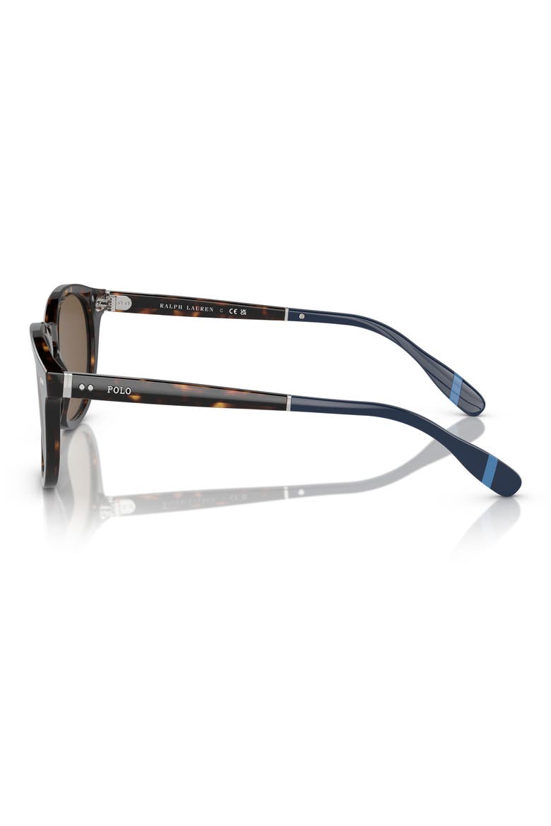 52mm Phantos Sunglasses, Alternate, color, SHINY DARK HAVANA / BROWN
