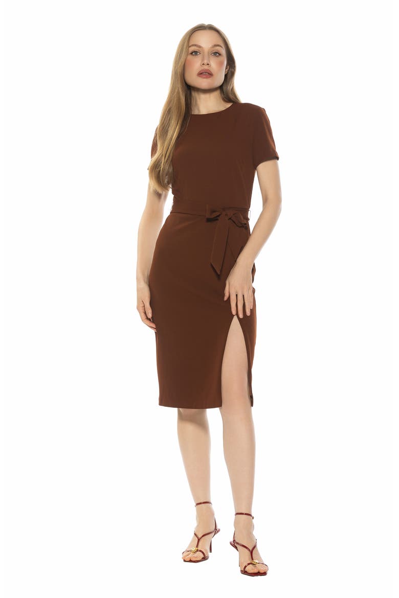 Zyra Short Sleeve Tie Waist Sheath Dress, Alternate, color, BROWN