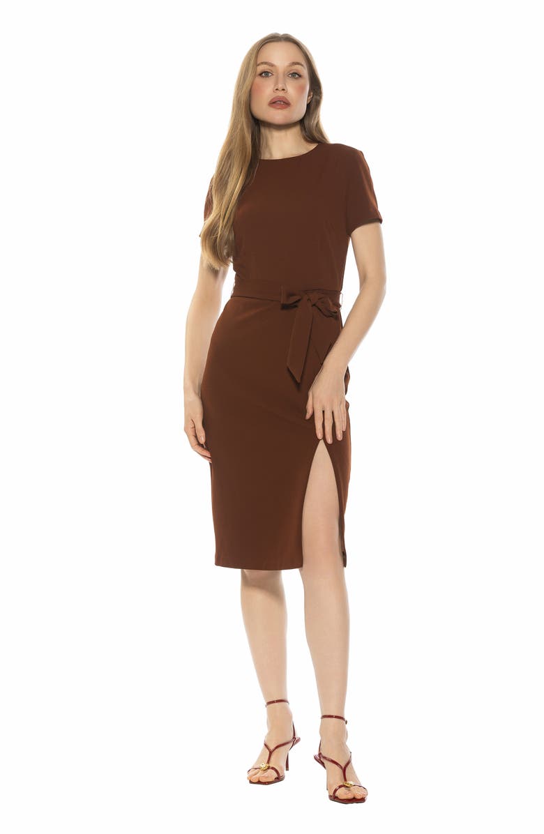 Alexia Admor Zyra Short Sleeve Tie Waist Sheath Dress, Alternate, color, 