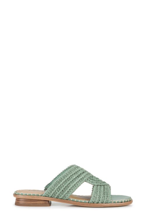 Baretraps Navene Woven Slide Sandal In Sage