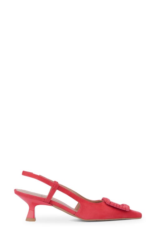 Aquatalia Arabella Kitten Heel Slingback Pump In Pink