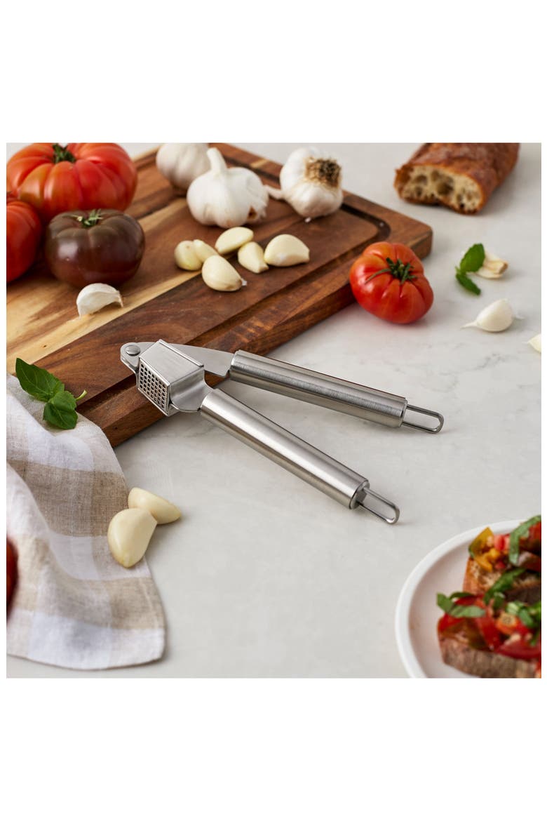 Stainless Steel Garlic Press, Alternate, color, STAINLESS STEEL