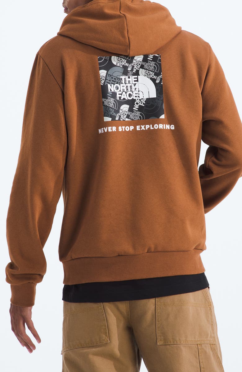The North Face Evolution Graphic Hoodie, Alternate, color, Burnt Umber